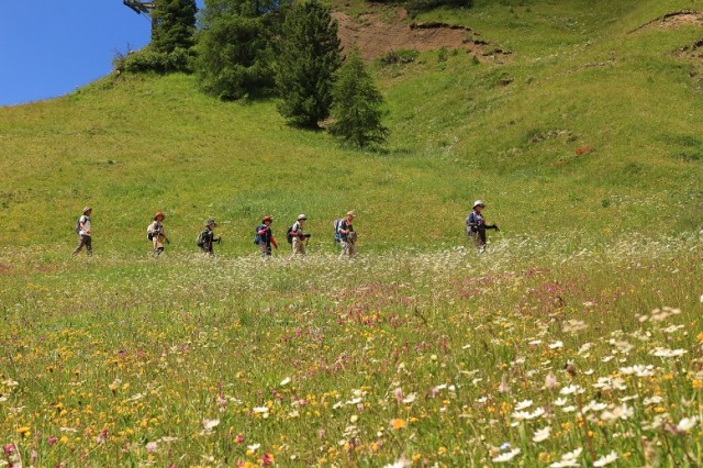 6 30発ドロミテハイキング セラ山展望お花畑ハイキング ヨーロッパ ハイキングレポート フェロートラベル