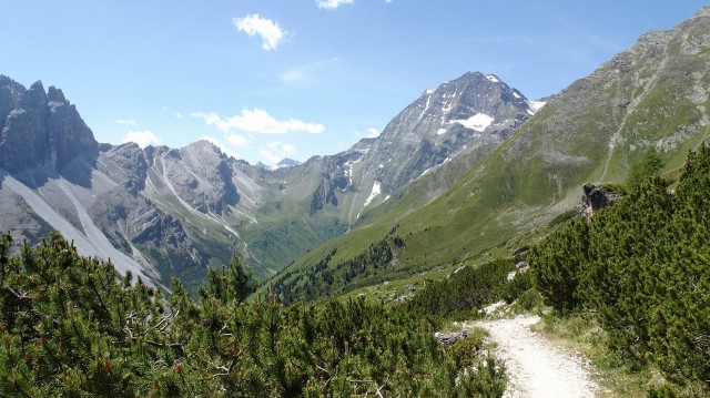 DSC00740