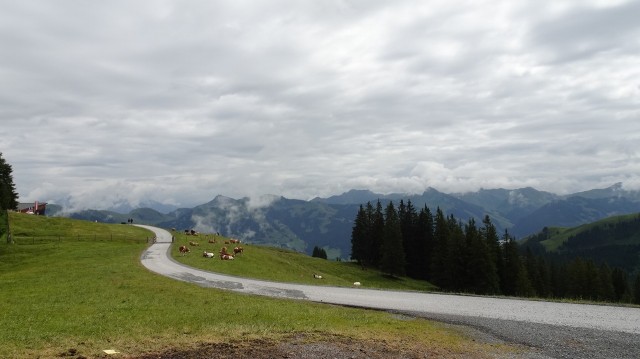 DSC00846