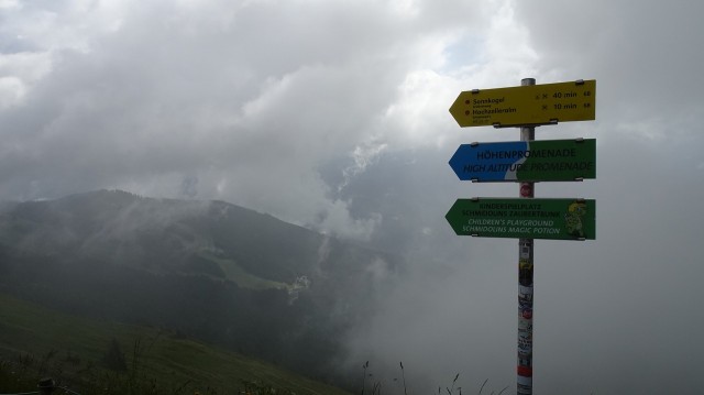 DSC00869