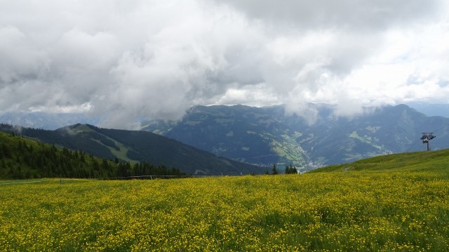 DSC00888