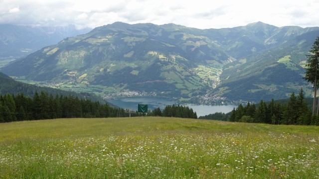 DSC00907