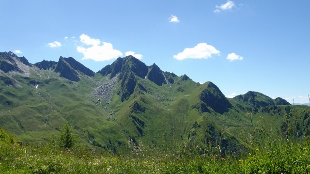 DSC00970