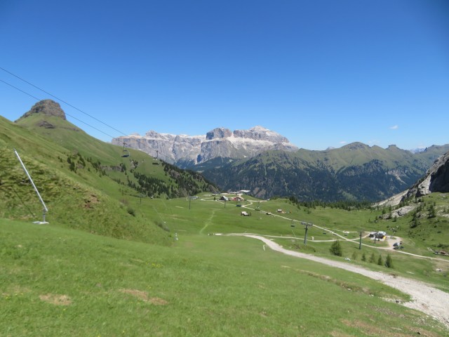 IMG_0310