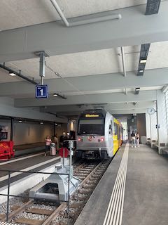IMG_1367