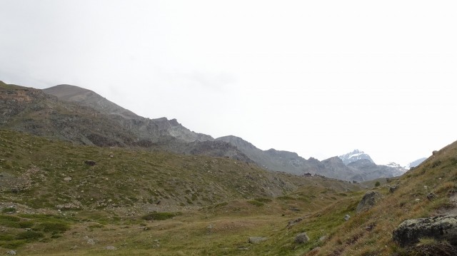 DSC01349