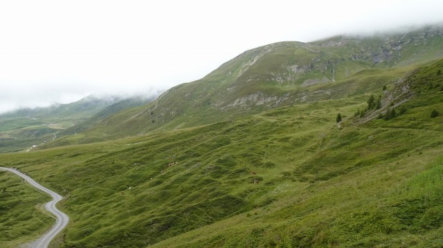 DSC01460