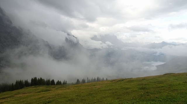 DSC01611