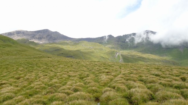 DSC01632