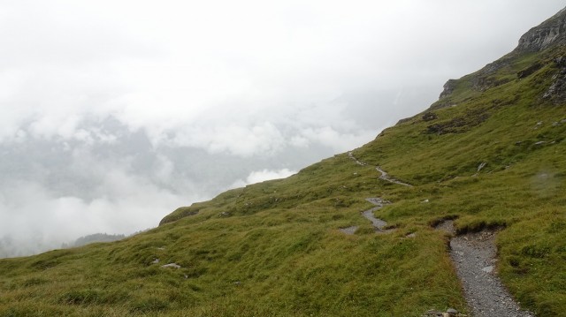 DSC02186