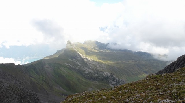 DSC02206
