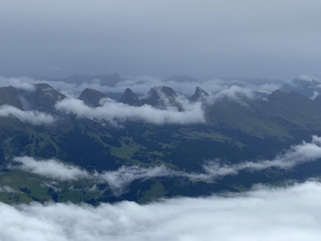 IMG_4016