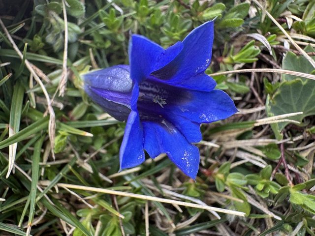 07
