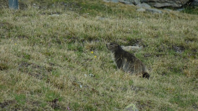 DSC04959_0