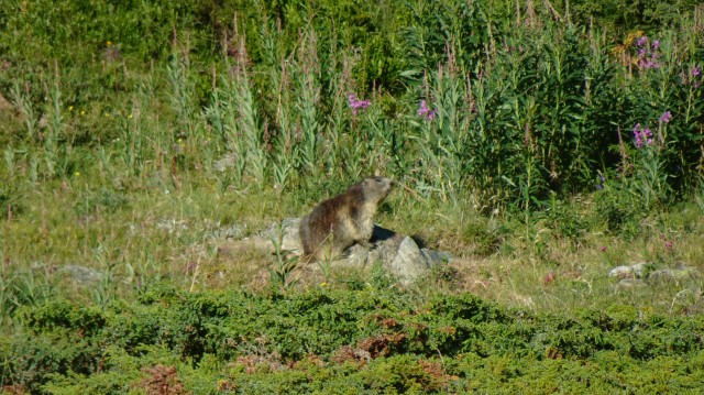 DSC05073_0