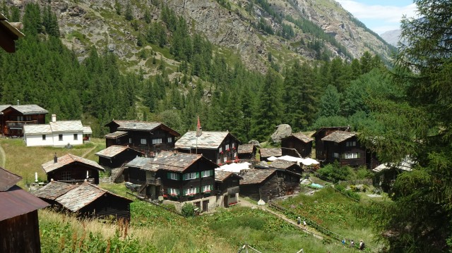 DSC05137