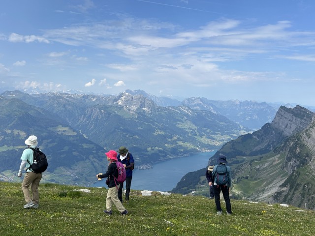 IMG_8461