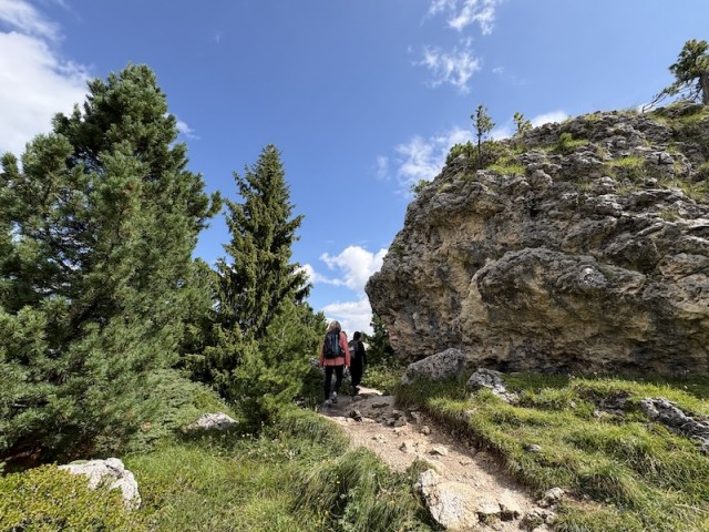 IMG_8461