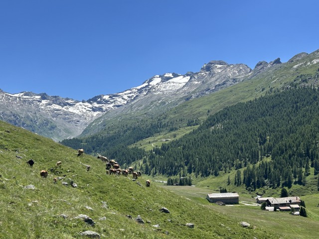 IMG_8738