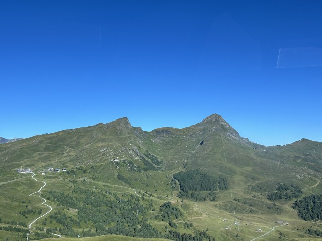 IMG_9806
