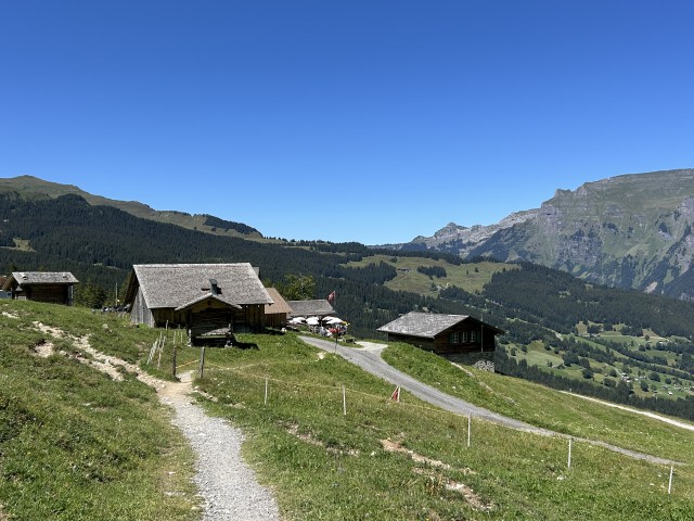 IMG_9855