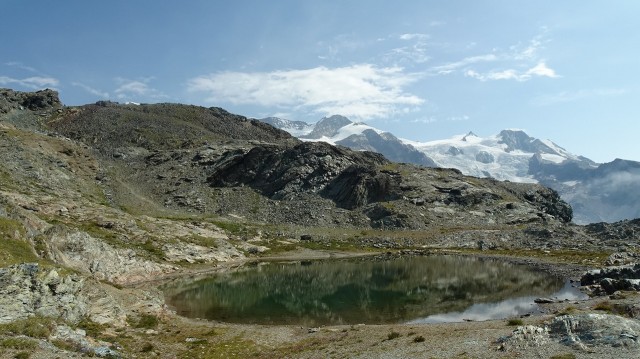 DSC05433