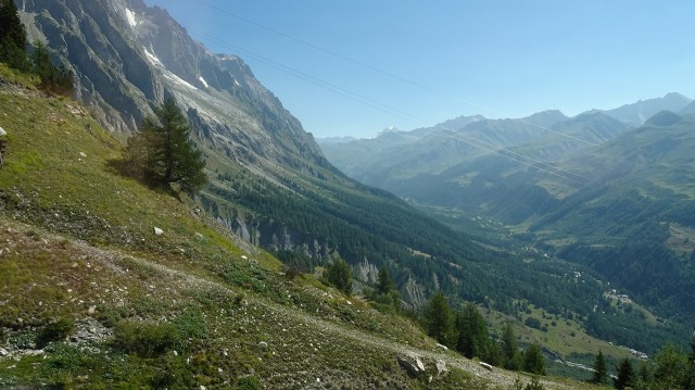 DSC05575