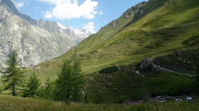 DSC05625
