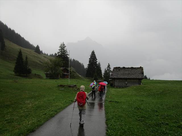 IMG_1533_R